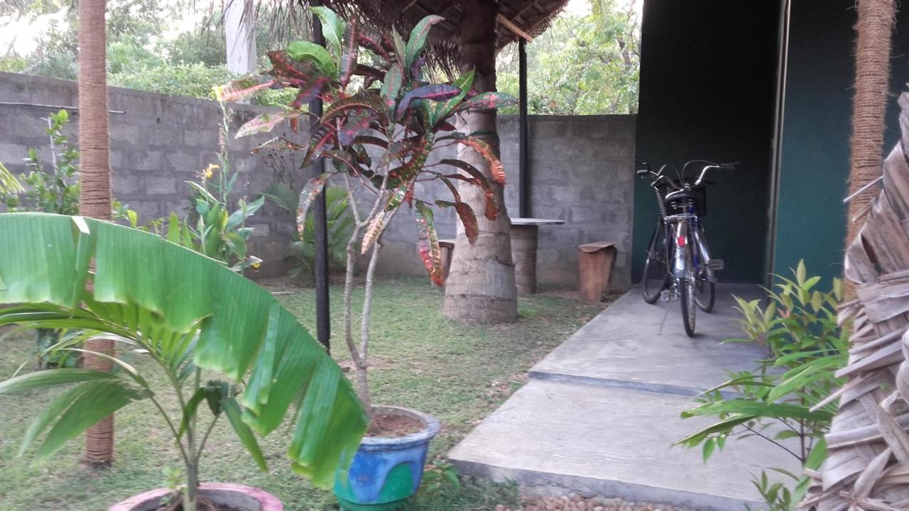 קירינדה Green House Yala מראה חיצוני תמונה